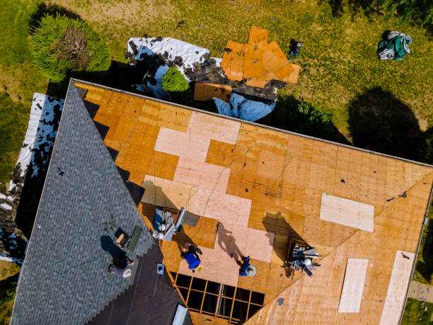 Best Roof Replacement Cost  in Haines City, FL